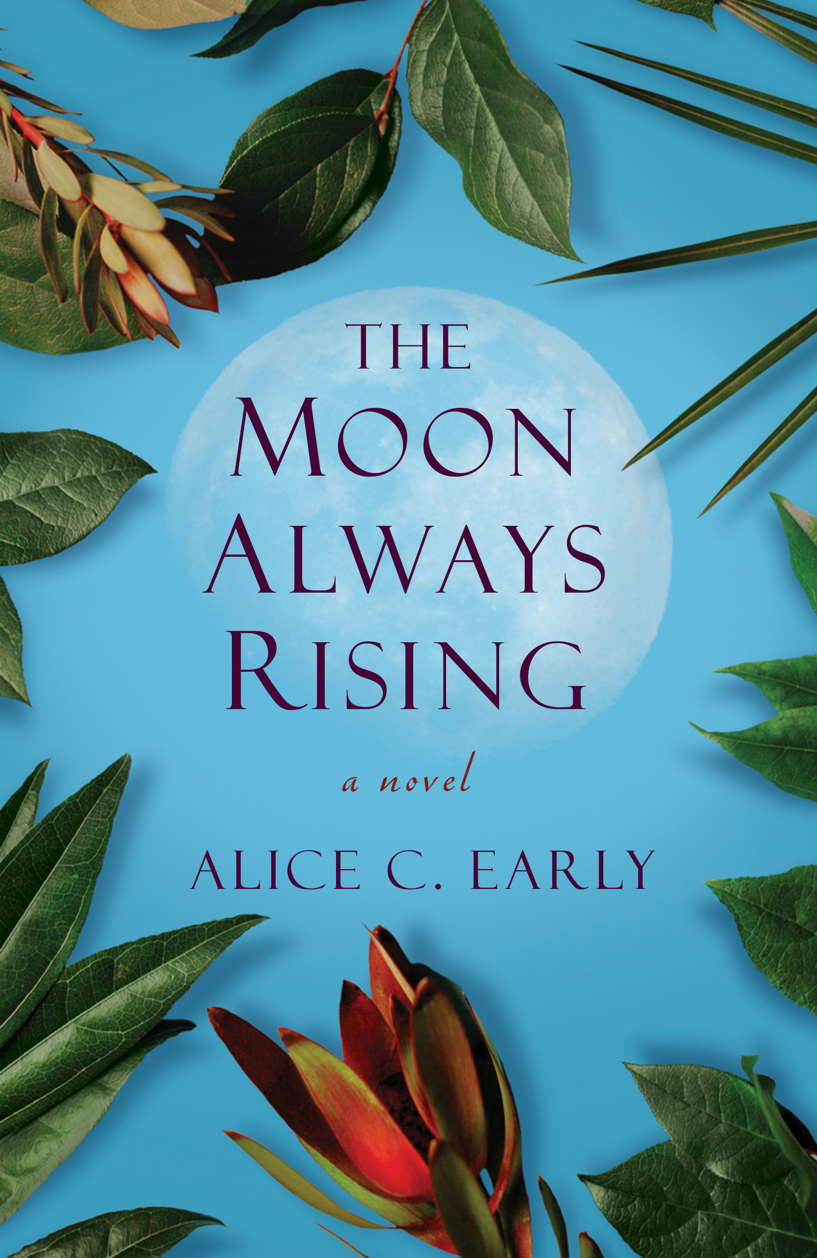 <span>The Moon Always Rising:</span> The Moon Always Rising